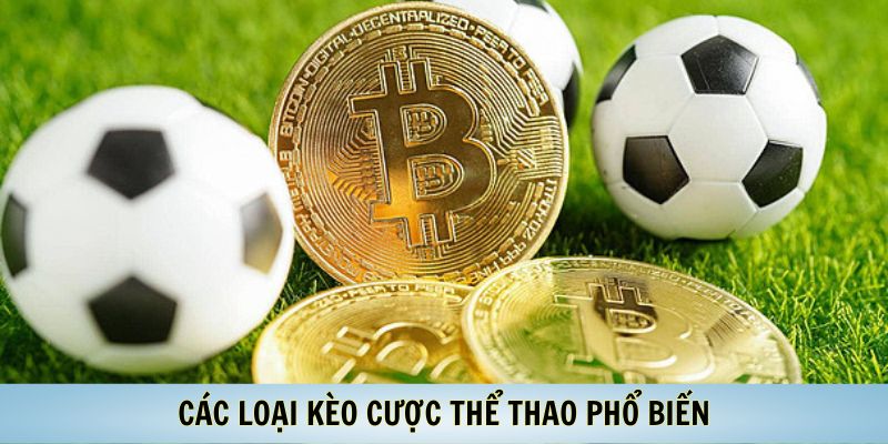 Các Loại Kèo Cược Thể Thao Phổ Biến