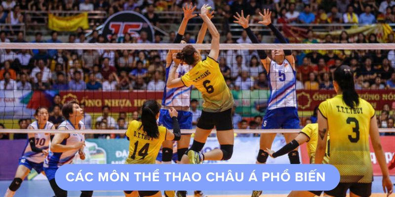 Các Môn Thể Thao Châu Á TX88 Phổ Biến 