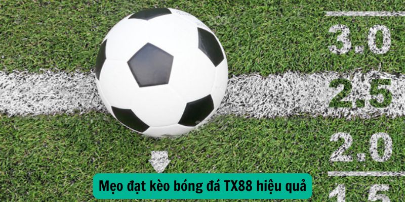 Mẹo đặt kèo bóng đá TX88 hiệu quả