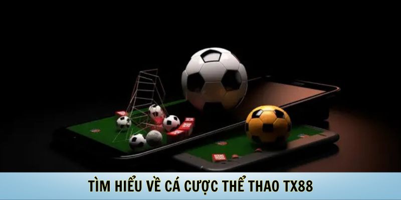 Tìm Hiểu Về Cá Cược Thể Thao TX88