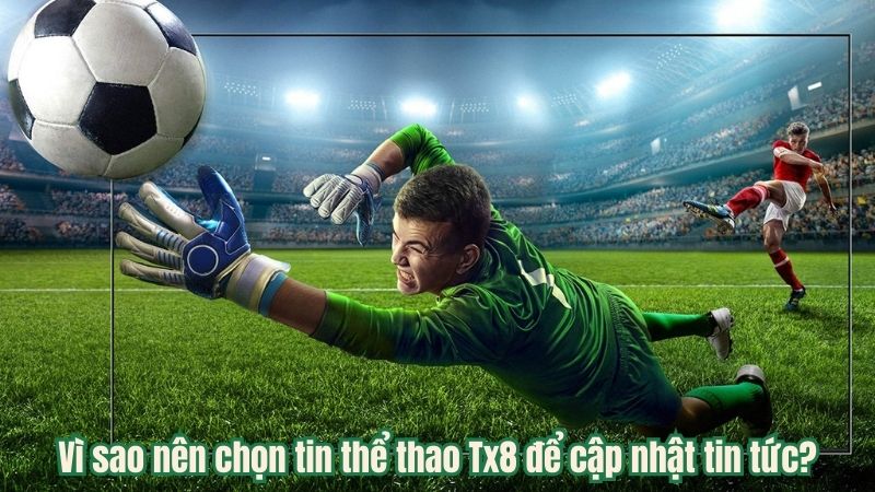 Vì sao nên chọn tin thể thao Tx8 để cập nhật tin tức?